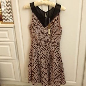 Lauren Conrad NWT polka-dot fit flare dress, Sz 2